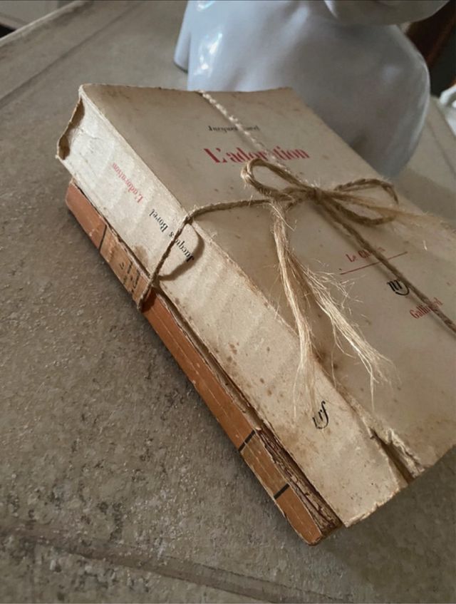 Libri francesi da decorazione