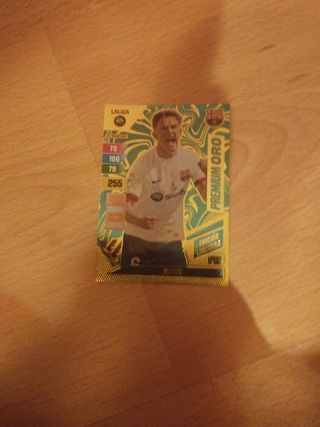 Lote premium oro 2023-24