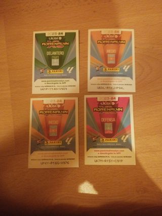 Lote premium oro 2023-24