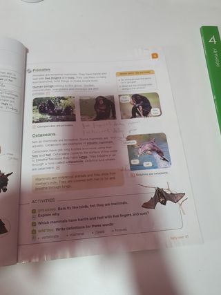 Libro Natural Science 4 Richmnd Santillana