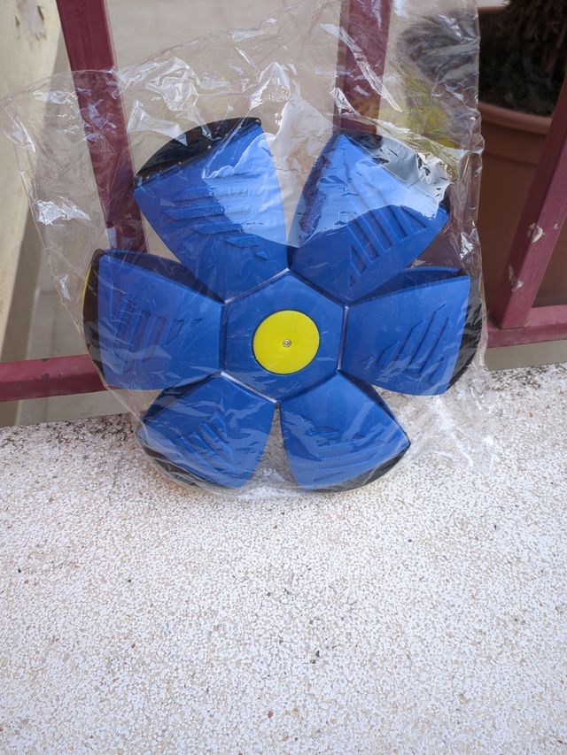 Pelota frisbee flat ball