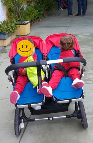 Carro Bugaboo Donkey