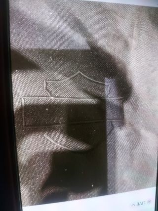 Harley Davinso, perneras