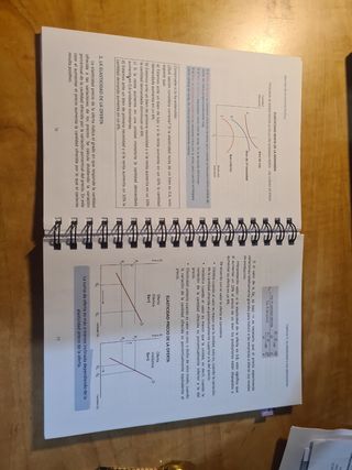 Manual economía política Soledad Barrios