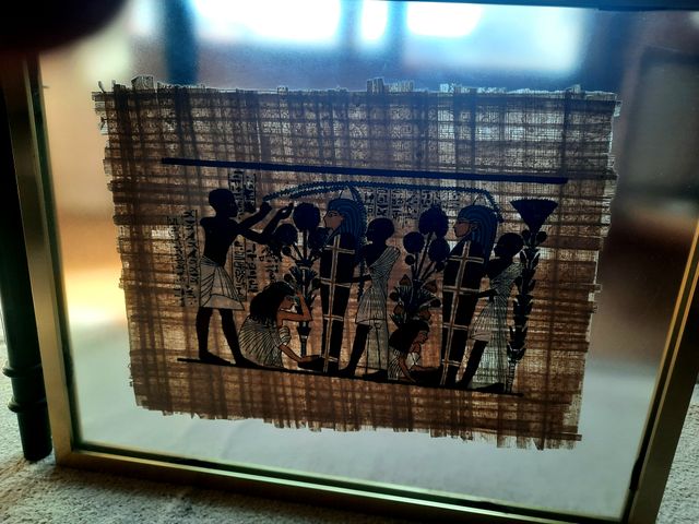 Due papiri incorniciati