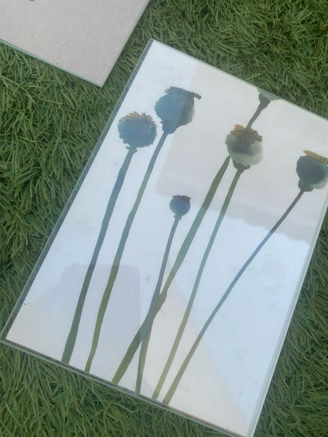 3 marcos fotos/ cuadros cristal colgar/ apoyar