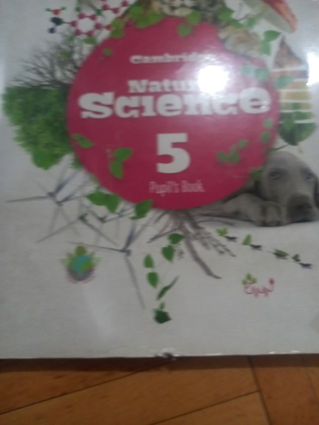 NATURAL Y SOCIAL SCIENCE