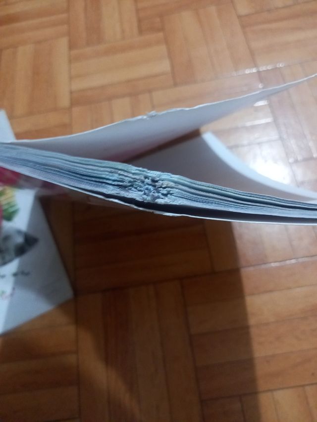 NATURAL Y SOCIAL SCIENCE