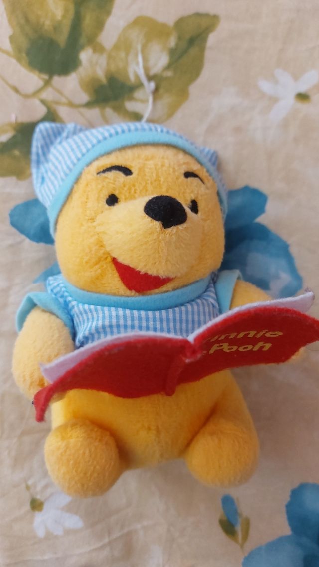 Peluche winnie the pooh