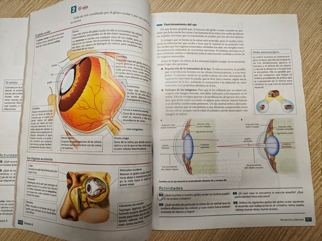 Biología y Geología 3.º ESO Adarve Com de Madrid