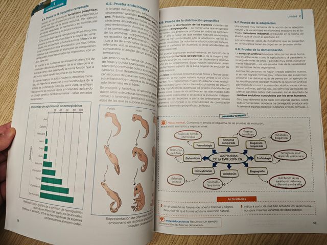 Cultura Científica (Suma Piezas) Anaya 1º Bachill.