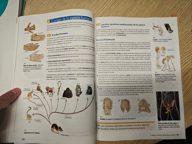 CULTURA CIENTIFIFICA BRUÑO 1 BACHILLERATO PROFESOR