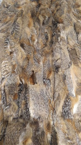 Abrigo zorro rojo de Virginia 