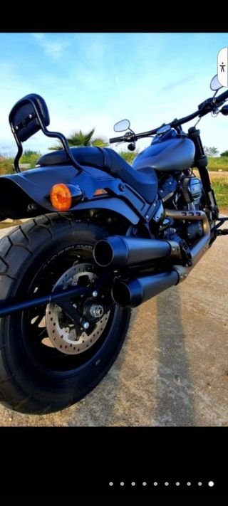Harley davidson fat bob softail 