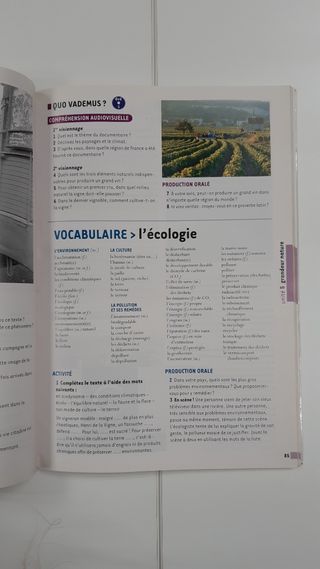 Le nouvel édito B2 / Libro de francés