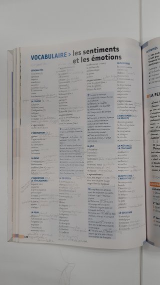 Le nouvel édito B2 / Libro de francés