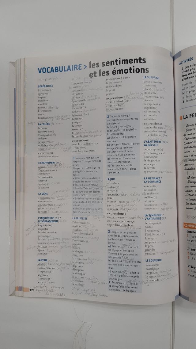 Le nouvel édito B2 / Libro de francés