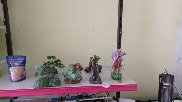 Lote adornos acuarios