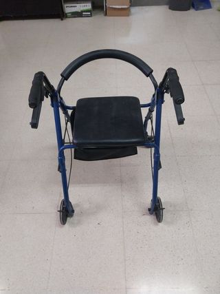Carrito para mayores 
