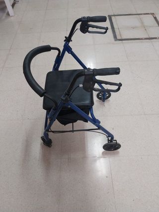 Carrito para mayores 