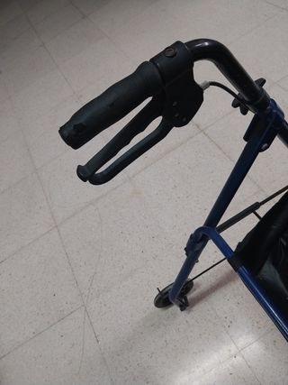 Carrito para mayores 