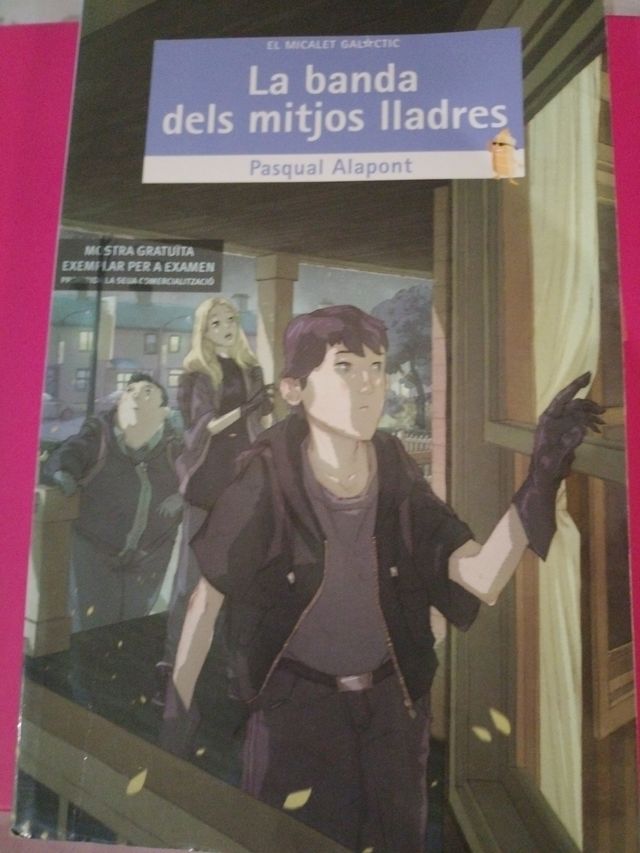 Libro La banda Dels mtjons lladres