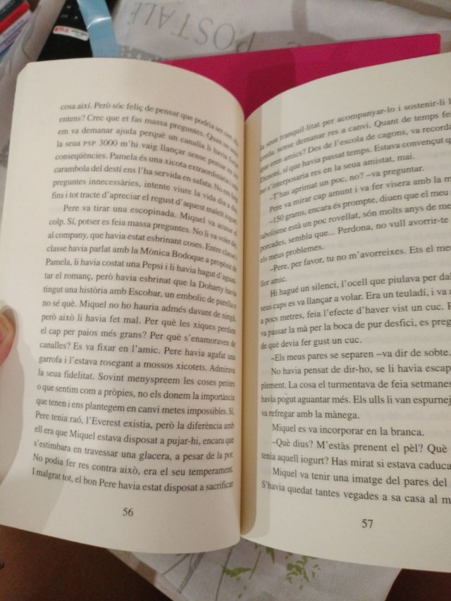 Libro La banda Dels mtjons lladres