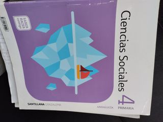 Libros Santillana 4 