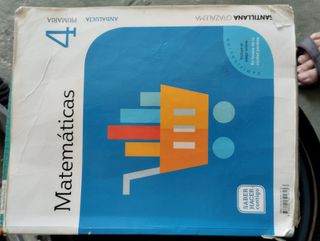 Libros Santillana 4 