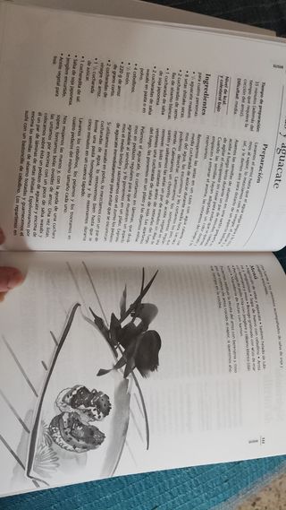 Libro de recetas: cocina japonesa