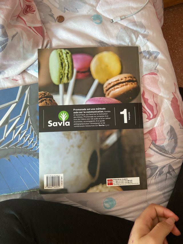 Promenade francés A1