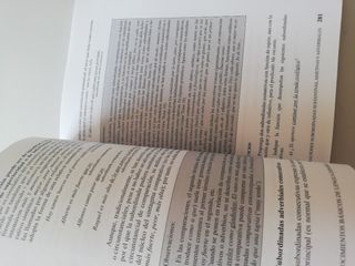 Acceso Universidad Lengua