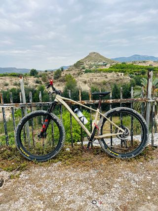 Bicigleta de montaña