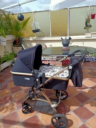 Carrito bebé