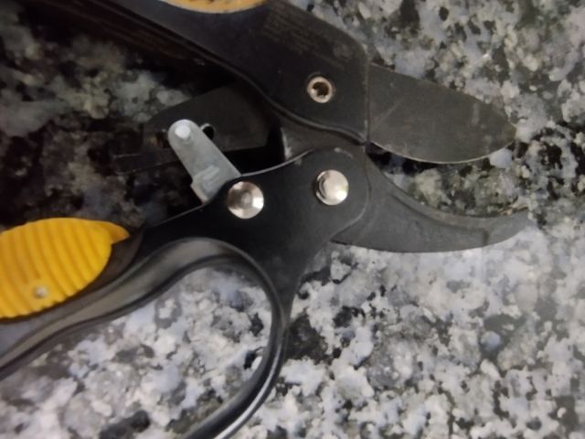 Tijera de poda pequeñas 20cmx6cm