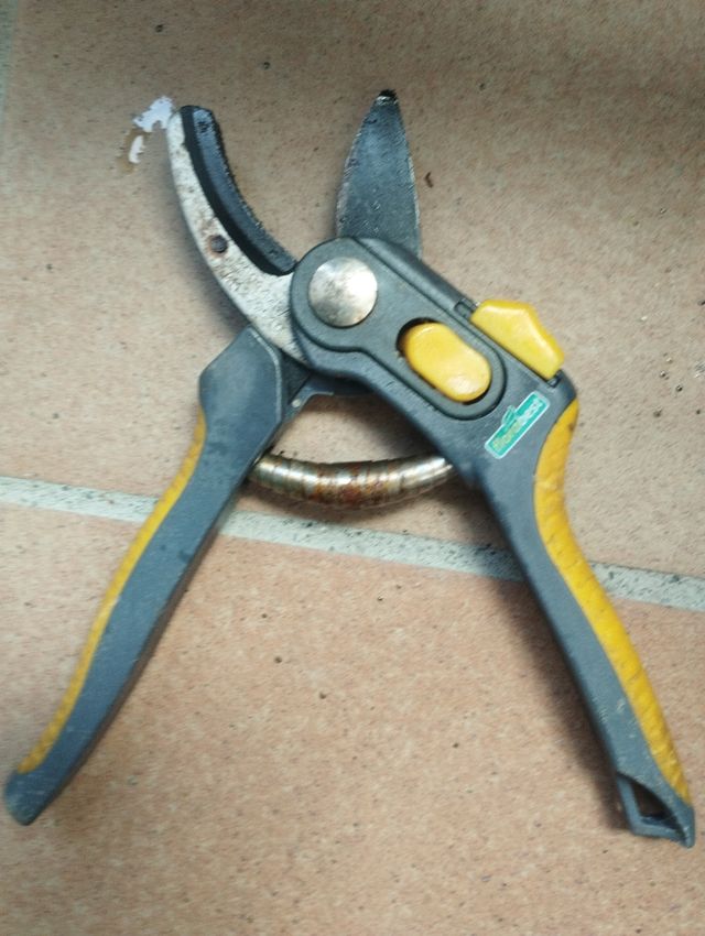 Tijera de poda pequeñas 20cmx6cm