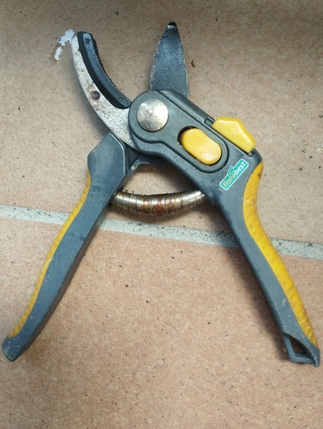 Tijera de poda pequeñas 20cmx6cm