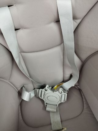 Trona Evolutiva Foxy Baby