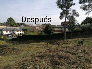 Jardinero economíco