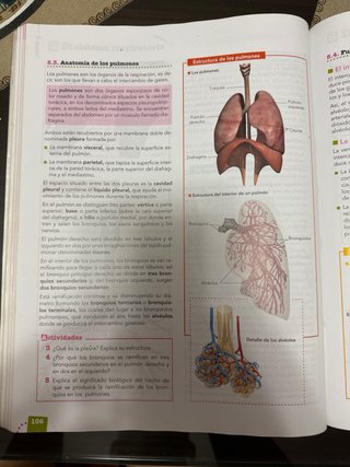 Libro 1 bachillerato