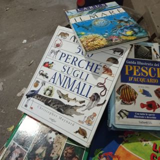 Libri istruttivi e illustrativi