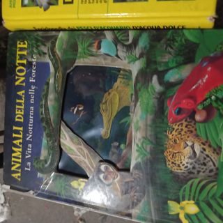 Libri istruttivi e illustrativi