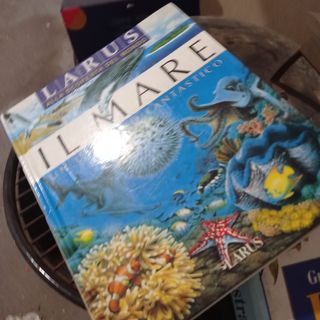 Libri istruttivi e illustrativi