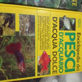 Libri istruttivi e illustrativi