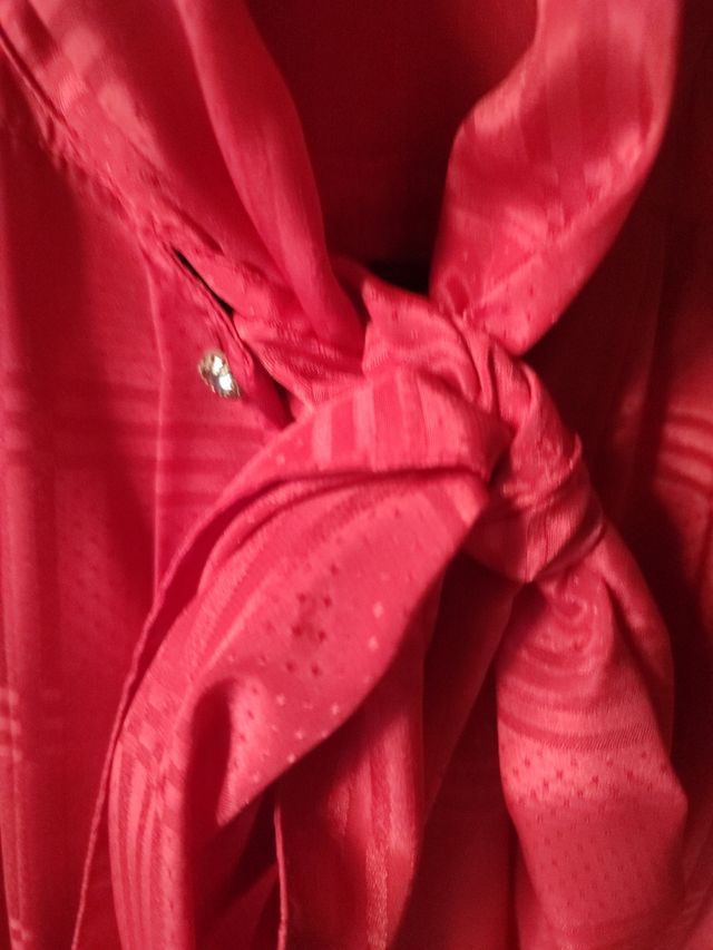 Camisa roja vintage.