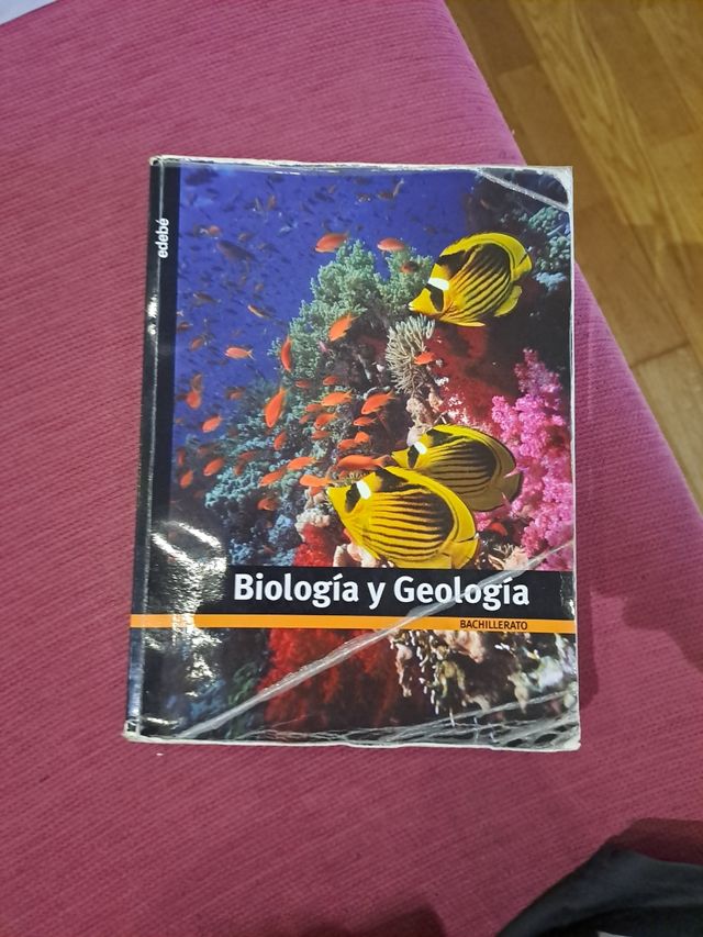 BIOLOGÍA Y GEOLOGÍA