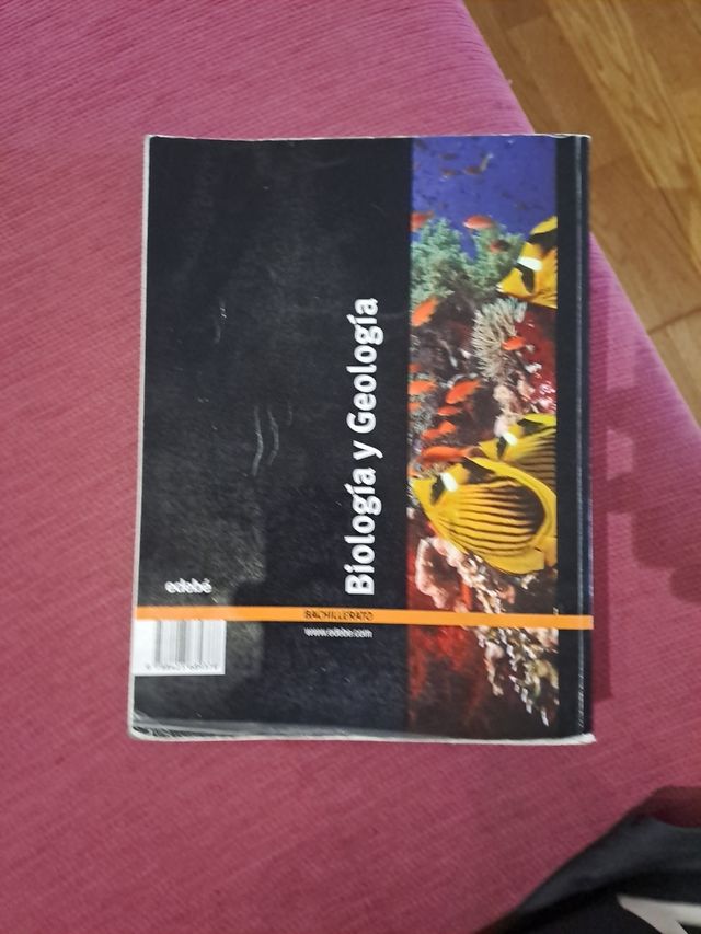 BIOLOGÍA Y GEOLOGÍA