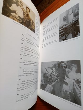 Francisco Borges Salas, una mirada...
