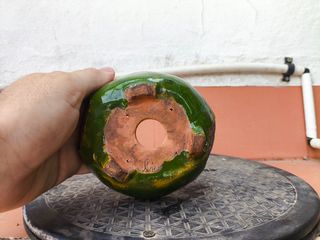 Maceta bonsai de autor