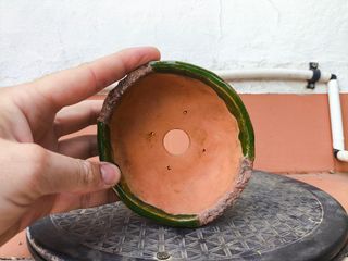 Maceta bonsai de autor